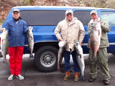 Las Vegas Winter Fishing: Willow Beach Trout Stock & Live Bait Fishing Lake  Mead 
